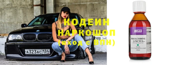 хмурый Абаза