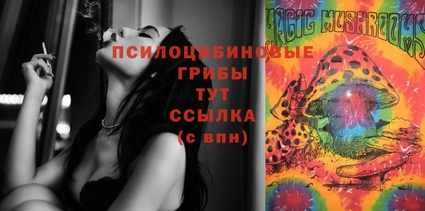 дживик Нягань