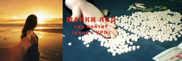 хмурый Абаза