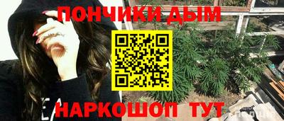 соль ск Новодвинск