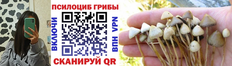 мега как войти  Урюпинск  Псилоцибиновые грибы мухоморы 