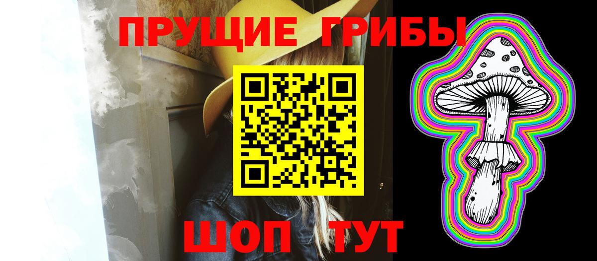 Галлюциногенные грибы Cubensis Урюпинск